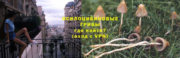 дмт Надым