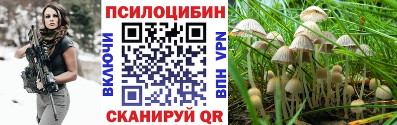 Галлюциногенные грибы Psilocybe  Лодейное Поле 